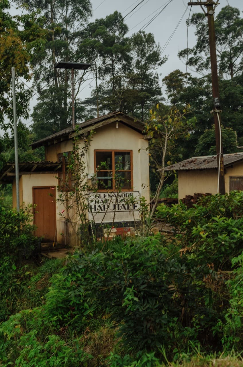 Превью Sri Lanka 2022